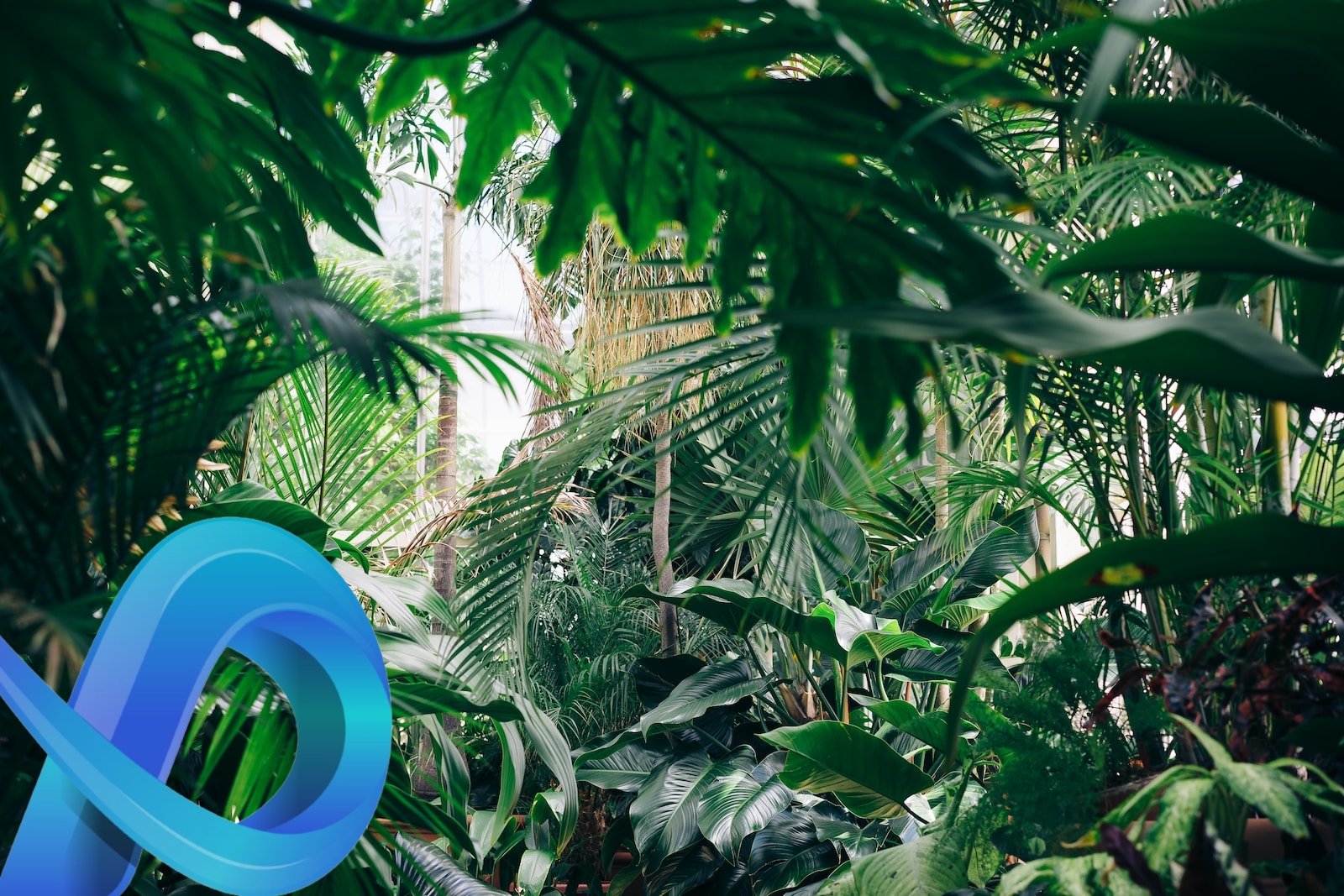 Applications pour reconnaître les plantes : un guide complet