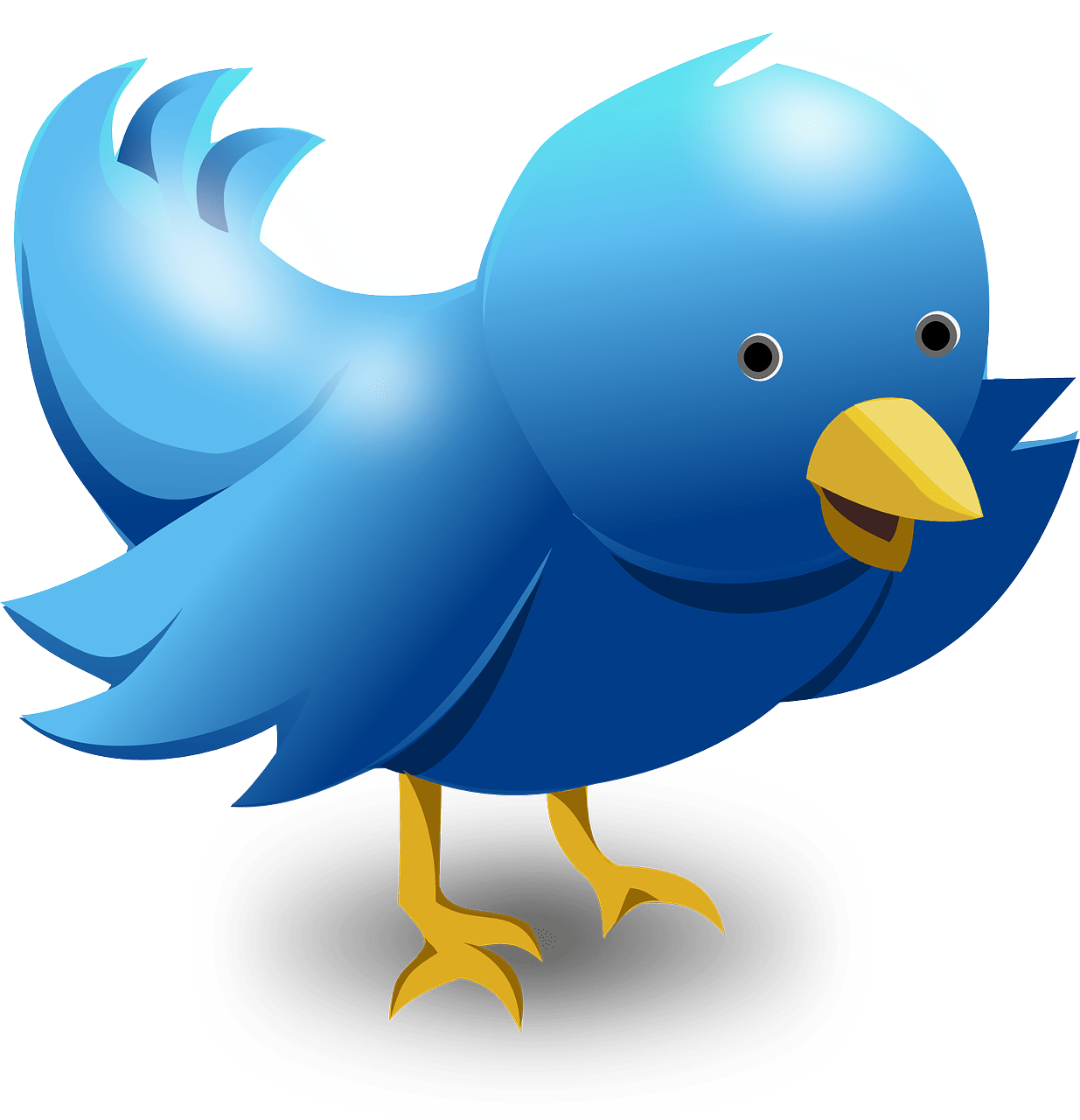 La surestimation des abonnés par Twitter