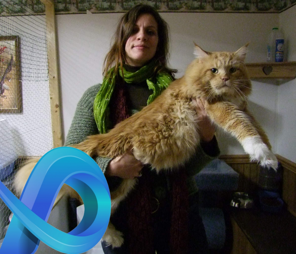 Nous avons rencontré le plus gros chat du monde !