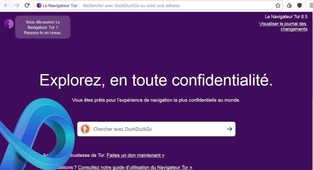 Moteur de recherche par défaut du navigateur Tor
